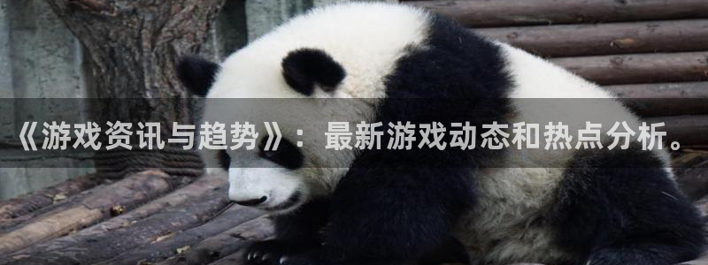 赢咖娱乐平台官网入口：《游戏资讯与趋势》：最新游戏动态和热点