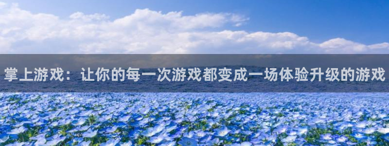 赢咖娱乐网址官网：掌上游戏：让你的每一次游戏都变成一场体验升