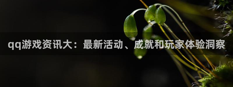 赢咖娱乐注册地址：qq游戏资讯大：最新活动、成就和玩家体验洞