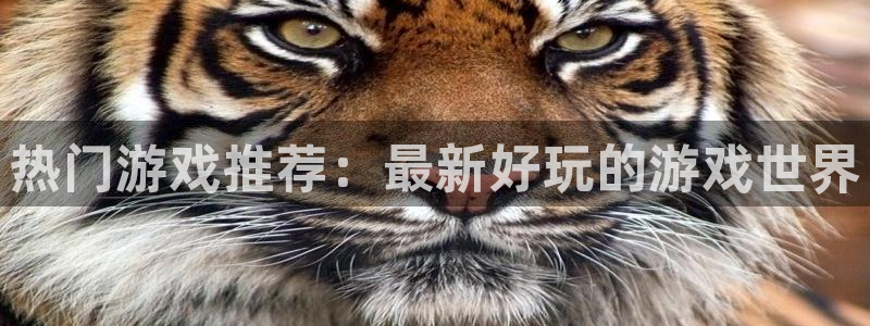 赢咖娱乐注册官方登录app：热门游戏推荐：最新好玩的游戏世界