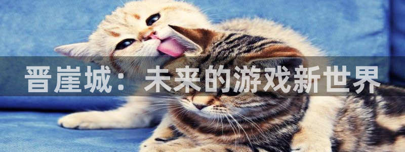 赢咖娱乐手机网页版登录:晋崖城:未来的游戏新世界