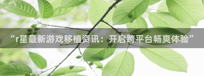 赢咖娱乐平台官网注册：“r星最新游戏移植资讯：开启跨平台畅爽