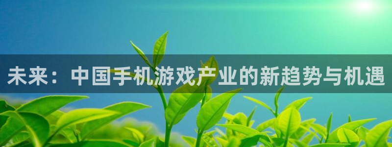 赢咖娱乐登录地址：未来：中国手机游戏产业的新趋势与机遇