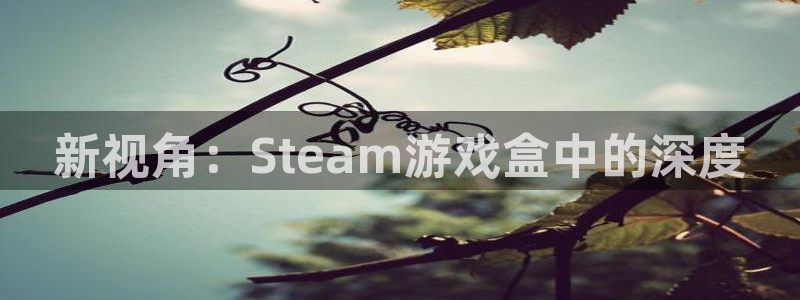 赢咖7：新视角：Steam游戏盒中的深度