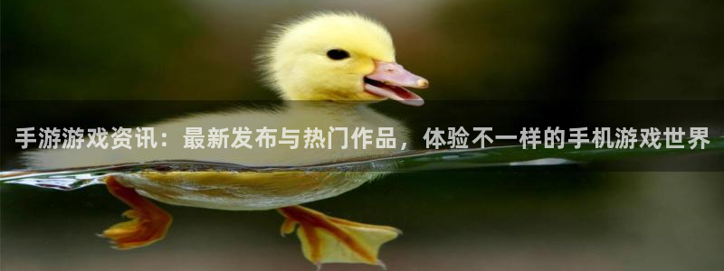 赢咖娱乐2首页登录：手游游戏资讯：最新发布与热门作品，体验不