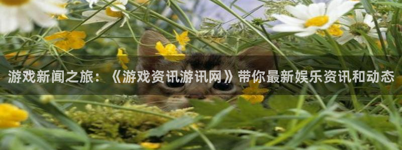 赢咖娱乐网页登录入口：游戏新闻之旅：《游戏资讯游讯网》带你最