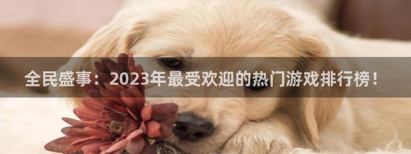 赢咖娱乐官方登录网址：全民盛事：2023年最受欢迎的热门游戏