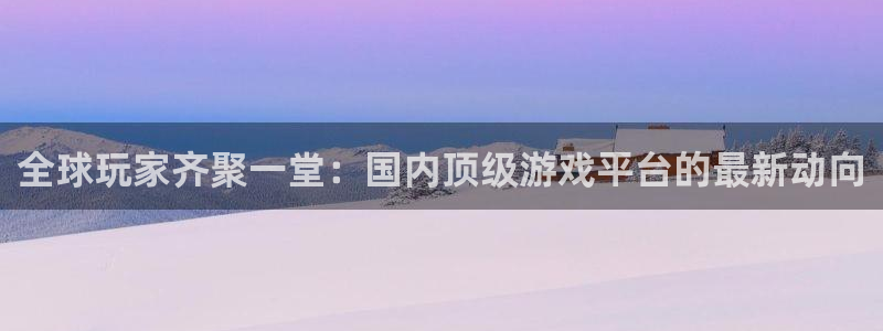 赢咖娱乐app下载：全球玩家齐聚一堂：国内顶级游戏平台的最新