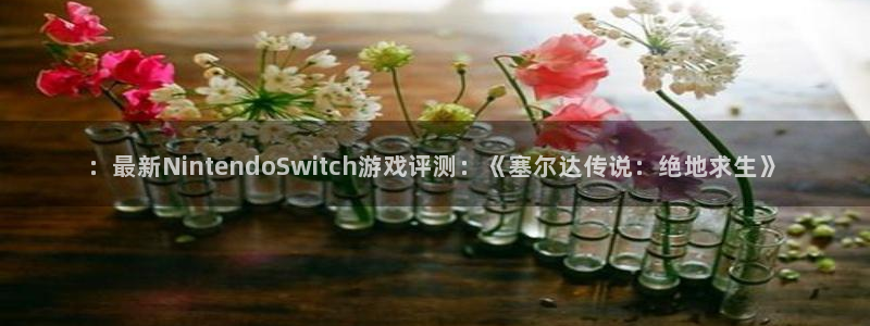 赢咖娱乐：：最新NintendoSwitch游戏评测：《塞尔