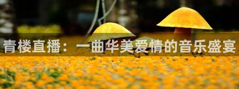 857赛事直播：青楼直播：一曲华美爱情的音乐盛宴