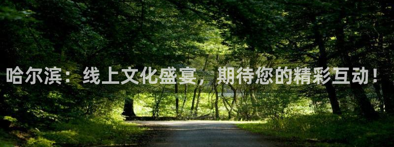 857直播平台看足球：哈尔滨：线上文化盛宴，期待您的精彩互动！