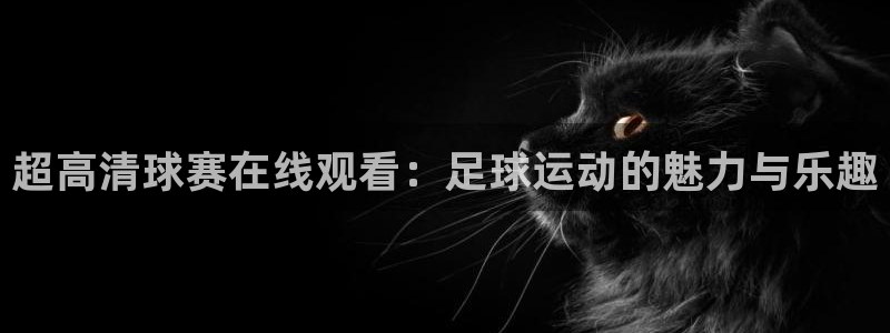 857篮球直播体育：超高清球赛在线观看：足球运动的魅力与乐趣