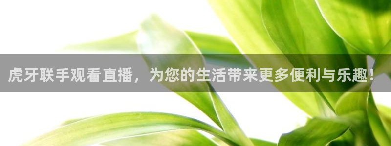857足球直播高清完整版：虎牙联手观看直播，为您的生活带来更多便利与乐趣！