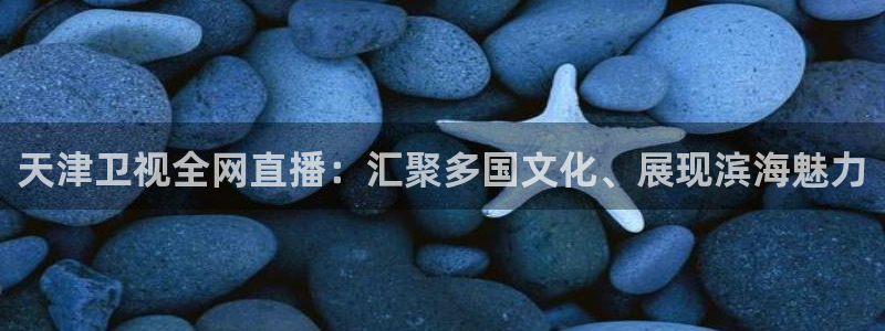857直播体育赛事：天津卫视全网直播：汇聚多国文化、展现滨海魅力