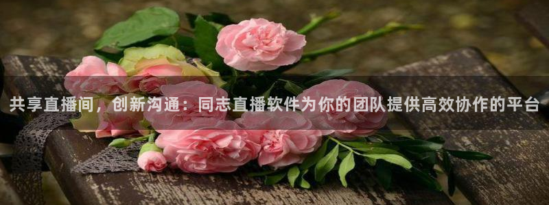 857直播体育n：共享直播间，创新沟通：同志直播软件为你的团队提供高效协作的平台