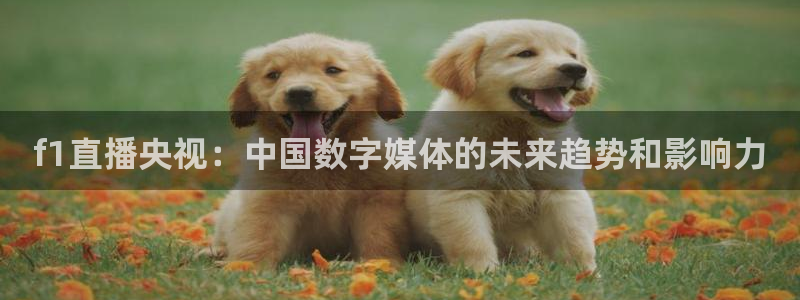 857nba直播：f1直播央视：中国数字媒体的未来趋势和影响力