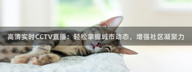 857zb1体育赛事直播：高清实时CCTV直播：轻松掌握城市动态，增强社区凝聚力