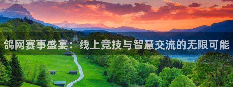 857足球直播平台：鸽网赛事盛宴：线上竞技与智慧交流的无限可能