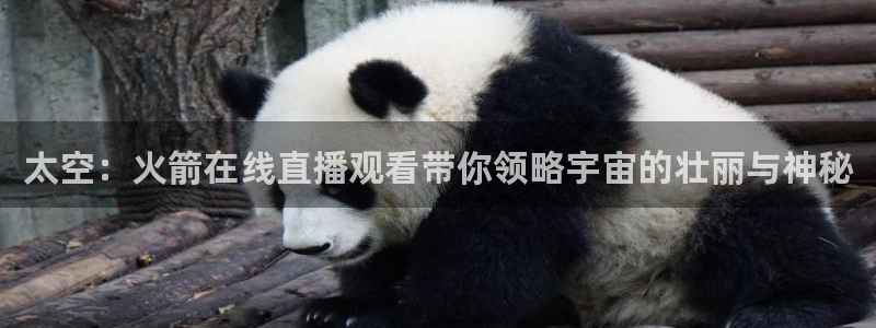 857直播体育赛事直播：太空：火箭在线直播观看带你领略宇宙的壮丽与神秘