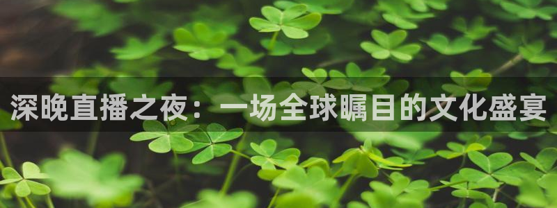 857直播nba直播：深晚直播之夜：一场全球瞩目的文化盛宴